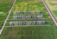 植物冠层光合气体交换测量系统