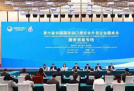 戴德梁行受邀出席进博会商务部外资企业圆桌会