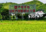 筑牢耕地根基，端牢中国饭碗——全南县自然资源局“世界粮食日”倡议