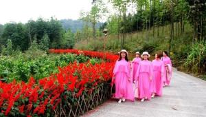 云栖1681：藏在鄂西高山里的诗与栖居