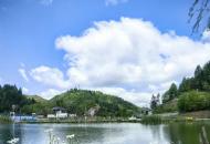 浅夏情深