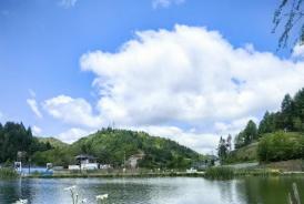 浅夏情深