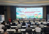 品味端午  培育文明  平舆县新时代文明实践中心开展端午民俗系列活动